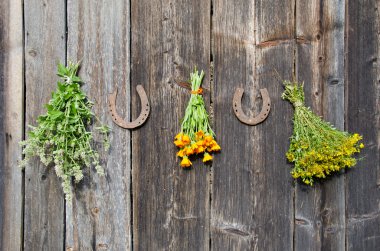 Medical herb bunch on wooden old wall clipart