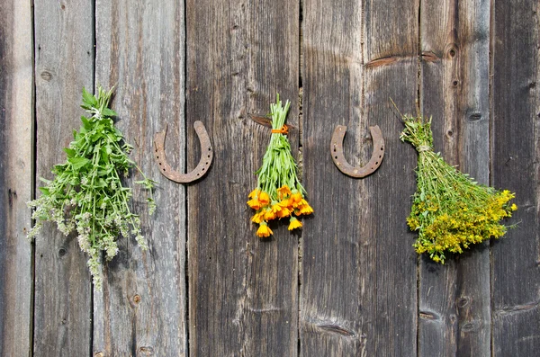 Bando de ervas médicas na parede velha de madeira — Fotografia de Stock