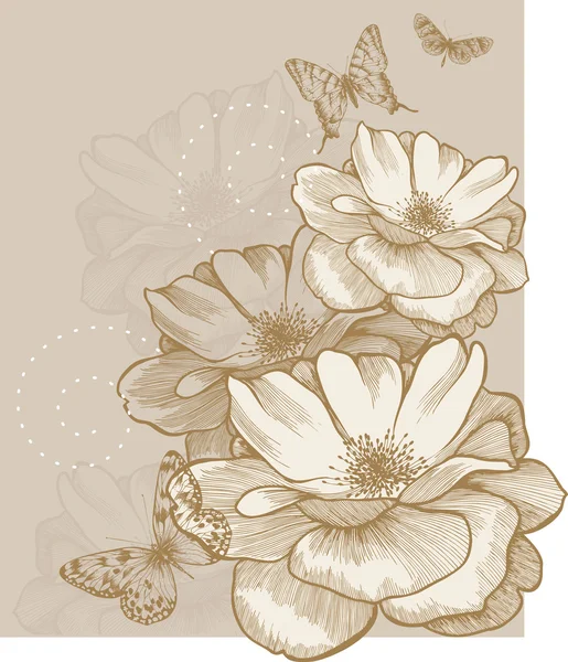 Floral bakgrund med fjärilar och rosor, hand-ritning. vektor. — Stock vektor