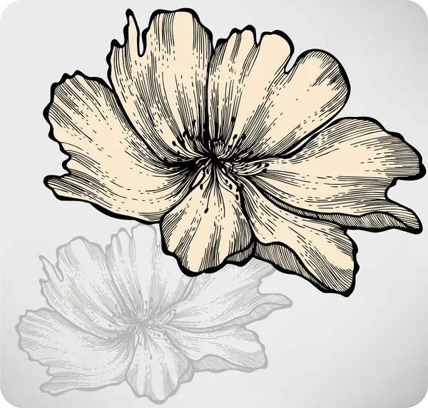 Rosehip. Wild Rose, hand-drawing. Vector illustration — Stock Vector