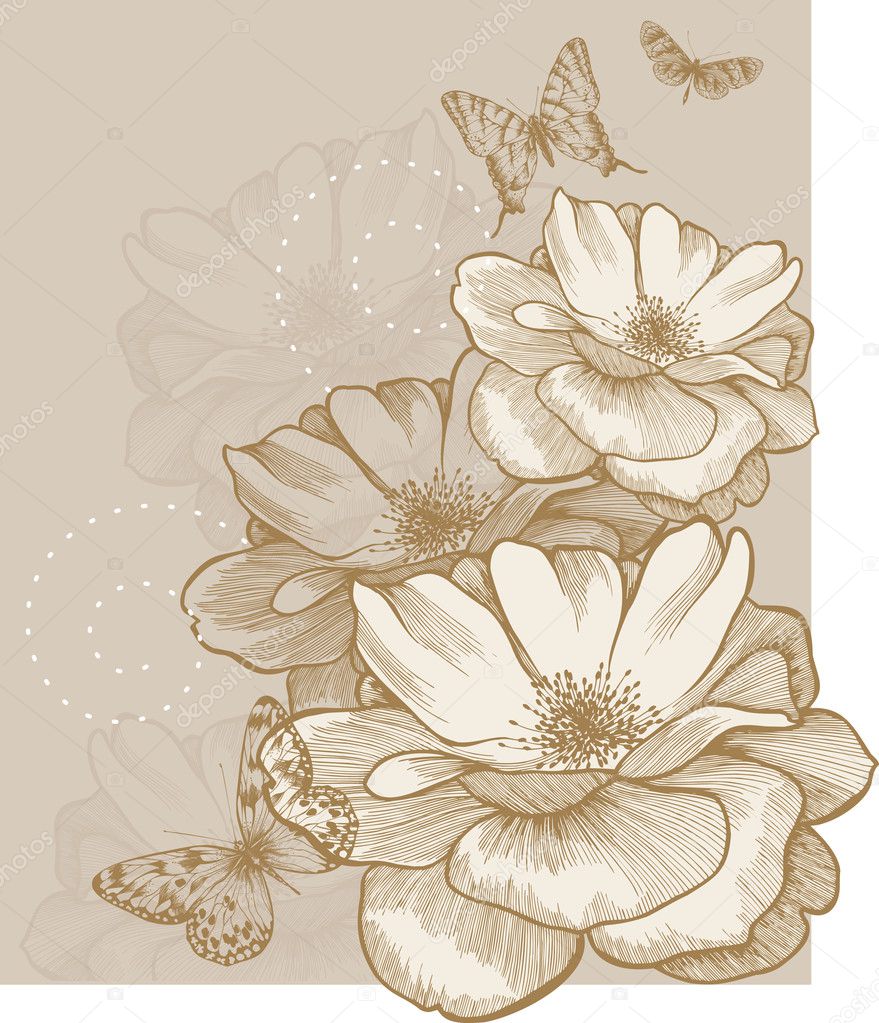 Floral background with butterflies and roses, hand-drawing. Vector.