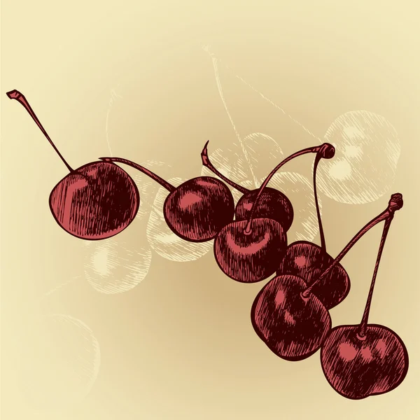 Спелые плоды вишни, ручная работа. Векторная иллюстрация . — стоковый вектор