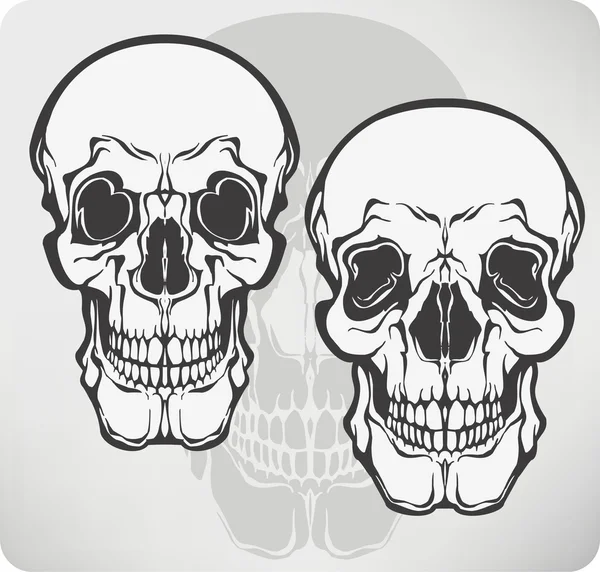 Crâne, illustration vectorielle . — Image vectorielle