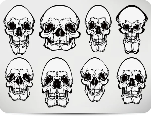 Set van schedels. vectorillustratie — Stockvector