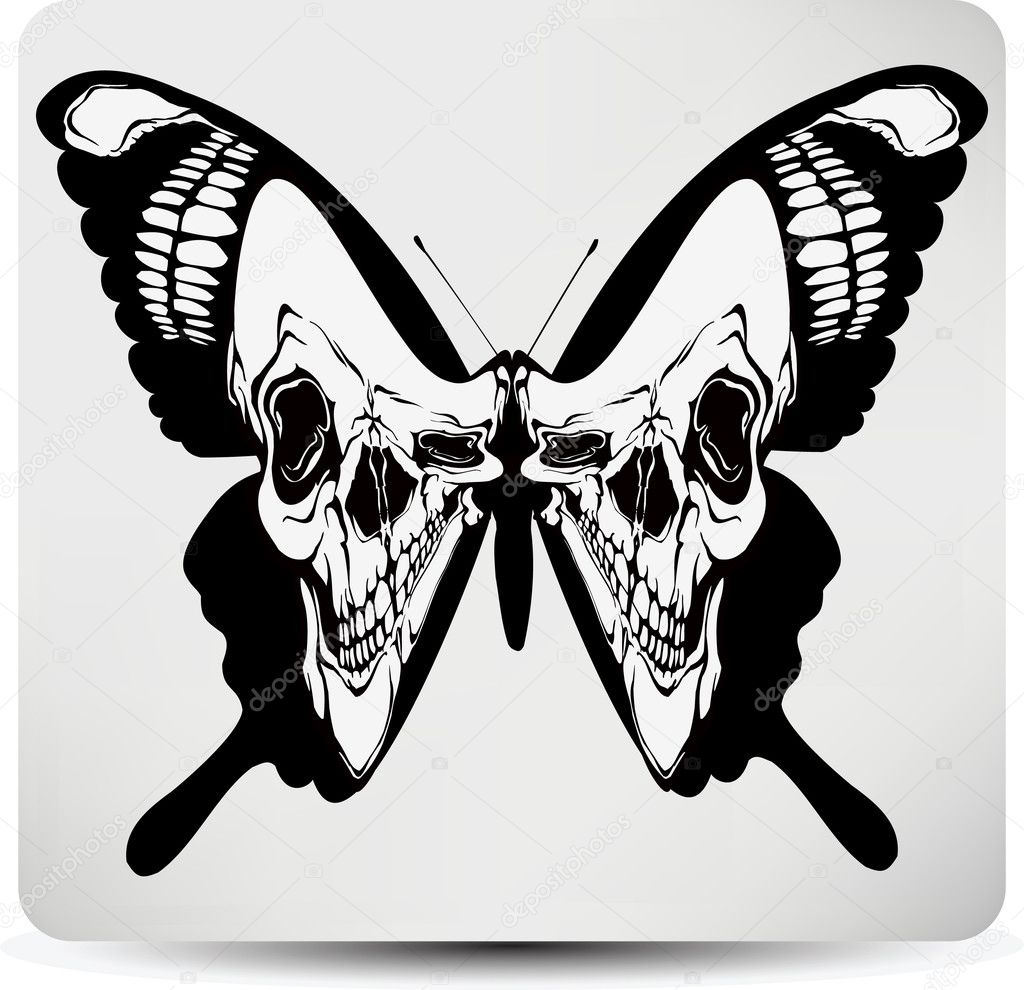 Butterfly skull. Vector illustration