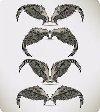 Wings of the Griffon, set. Vector illustration. clipart