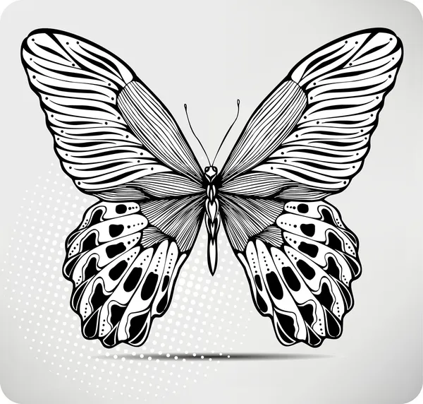 Mariposa, dibujo a mano. Ilustración vectorial . — Vector de stock