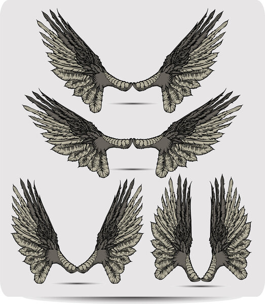 Wings set the raven, hand drawing. Vector illustration.