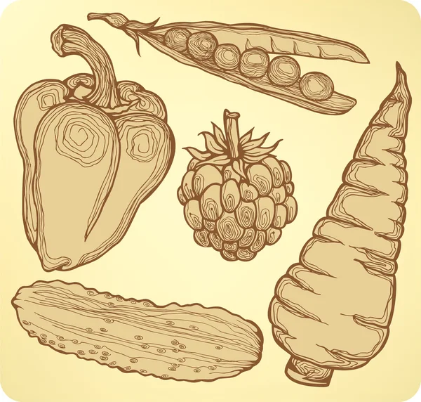 Establecer verduras, frutas y bayas, dibujo a mano. Ilustración vectorial . — Archivo Imágenes Vectoriales
