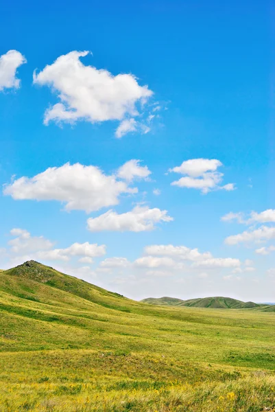 Green hills — Stock Photo, Image