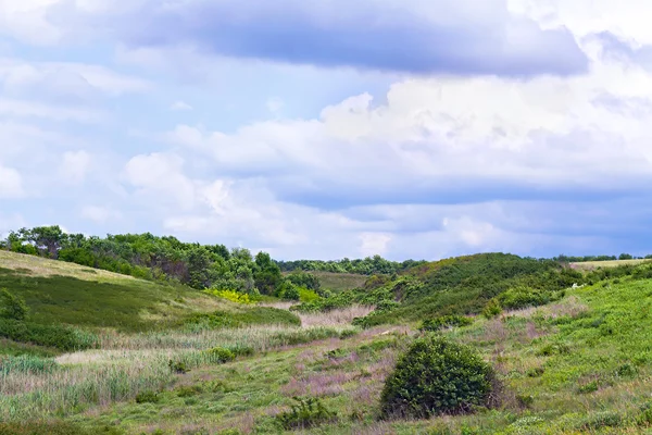 草が茂った丘 — ストック写真