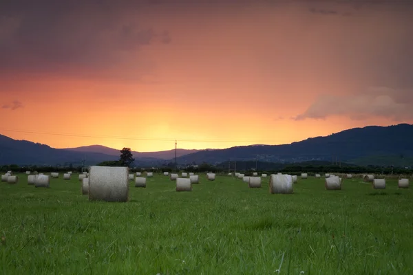 Motte de foin kolye BM coucher de soleil