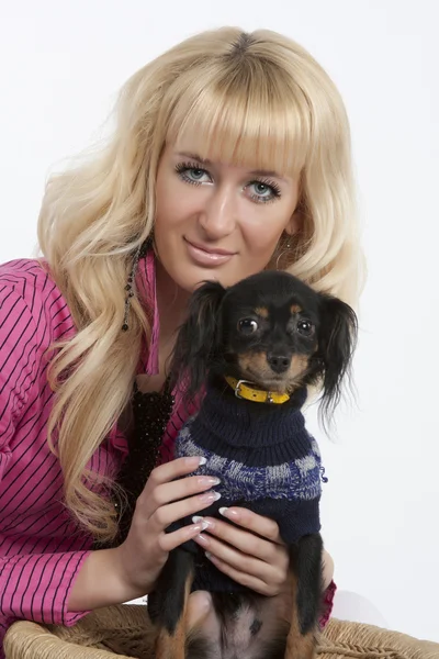 Menina do glamour com cachorro pequeno — Fotografia de Stock