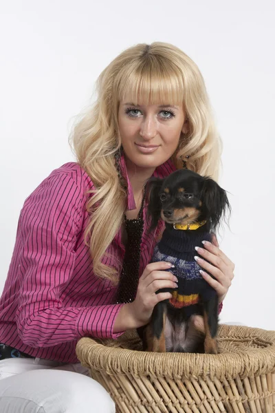 Menina do glamour com cachorro pequeno — Fotografia de Stock