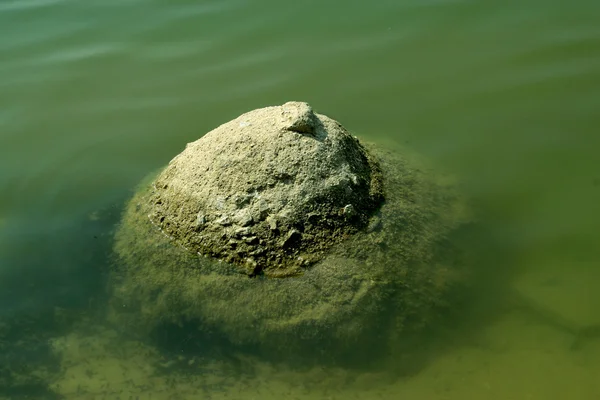 Rock in the water in a park, northen china — Stock Photo, Image