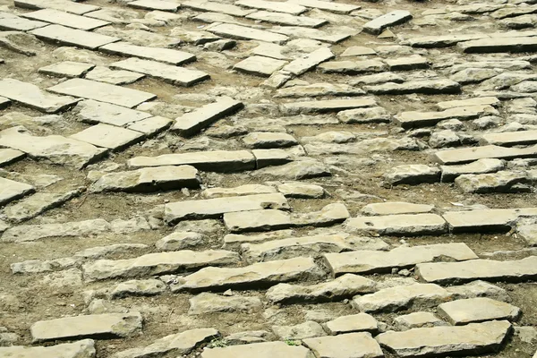 Тротуарные плиты на земле — стоковое фото
