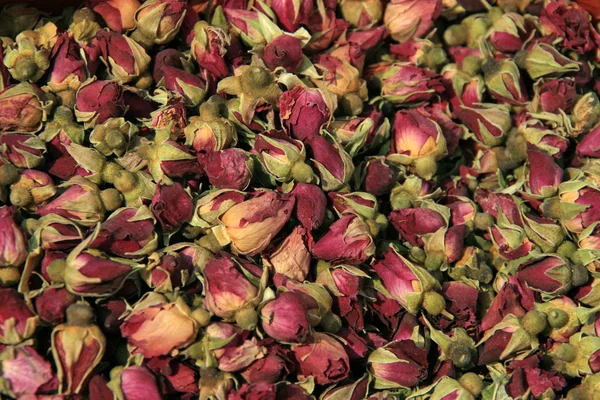 Rosas medicinais — Fotografia de Stock