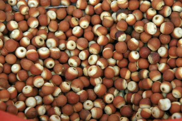 Closeup of Grain — Stock Photo, Image