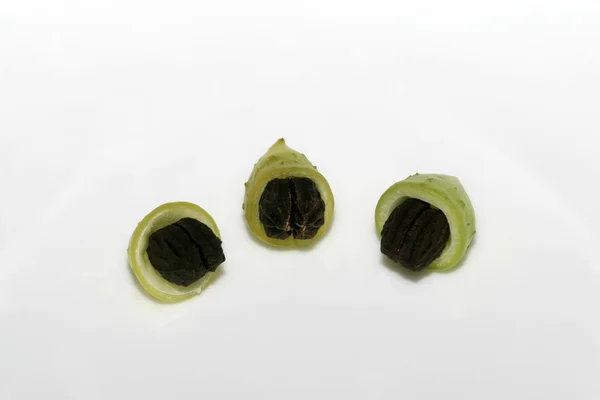 Seeds fruit — Stock Photo, Image