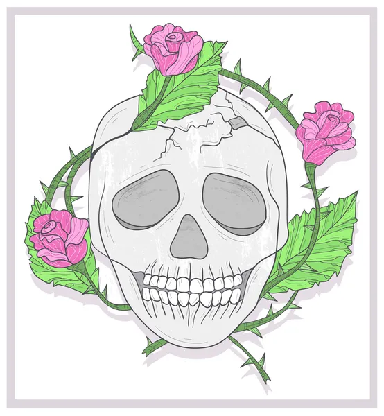Skull and roses illustration — Stok fotoğraf