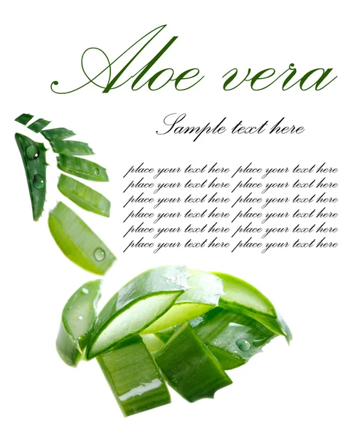 stock image Background with aloe vera isolated on white