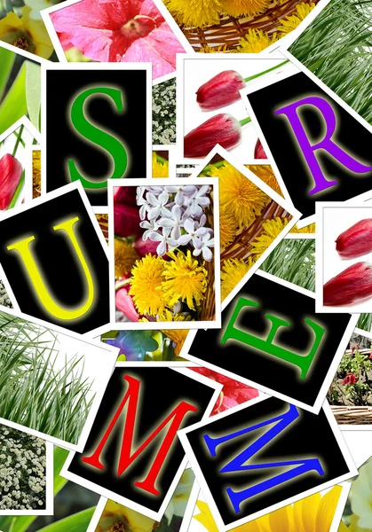 Summer background with flowers photos and letters cards — Stock Photo, Image