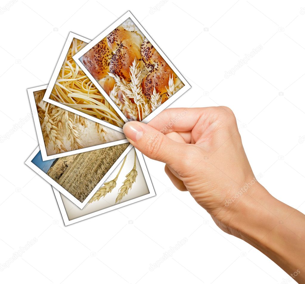 Hand with shots of wheat, field, flour and bread isolated on whi