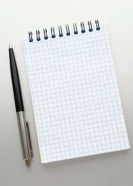 Στυλό και ένα άνοιγμα σημειωματαρίου — Φωτογραφία Αρχείου