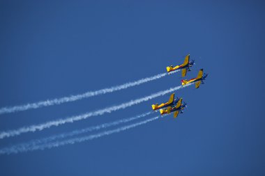 2012, bucharest, Romanya - Romanya demoteam b, Temmuz 22:hauks