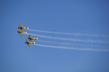 2012, bucharest, Romanya - Romanya demoteam b, Temmuz 22:hauks