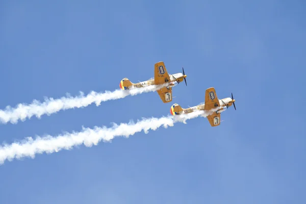 eski çekim uçakların havada akrobasi performans grubu