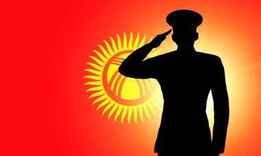 The Kyrgyz Flag clipart