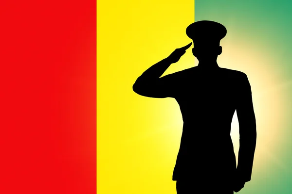 La bandiera guineana — Foto Stock