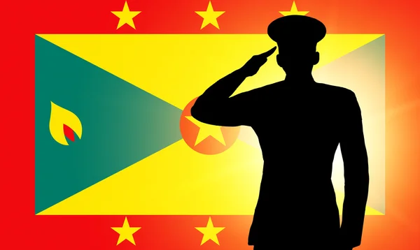 The Grenada flag — Stock Photo, Image