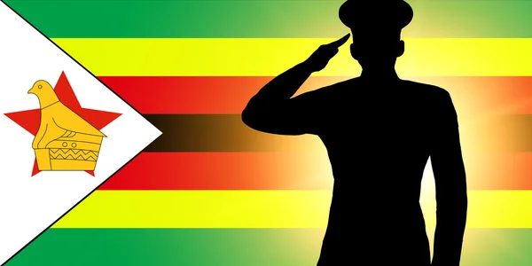 A zimbabwei zászló — Stock Fotó
