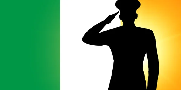 La bandera irlandesa — Foto de Stock