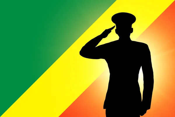 Congos flag - Stock-foto