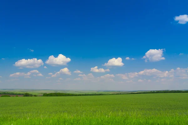 Landscape Nature. The blue sky and clouds. — Stock Photo, Image
