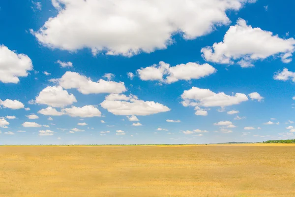 Landschap aard. de blauwe lucht en de wolken. — Stockfoto