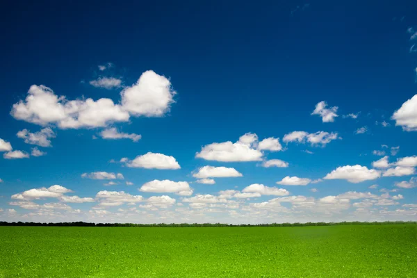 Landskap natur. blå himmel och moln. — Stockfoto