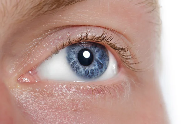 O olho humano é azul, close-up — Fotografia de Stock