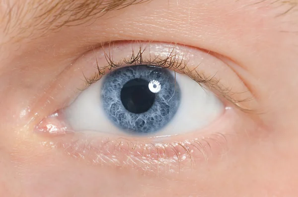 Το ανθρώπινο μάτι είναι μπλε, κινηματογράφηση σε πρώτο πλάνο — Φωτογραφία Αρχείου