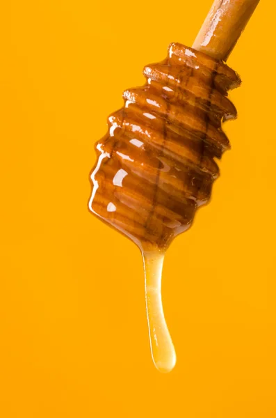 Colher de mel em um fundo colorido — Fotografia de Stock
