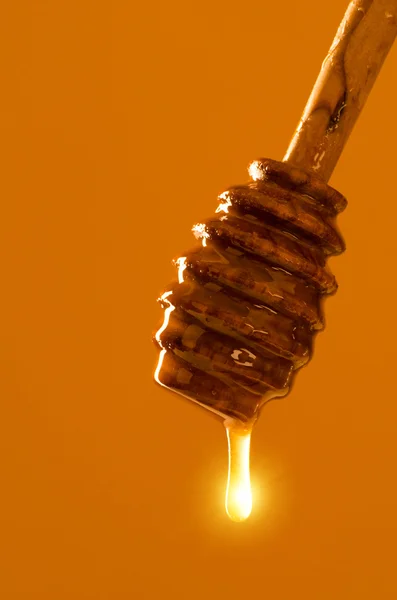 Cuchara de miel sobre un fondo coloreado —  Fotos de Stock