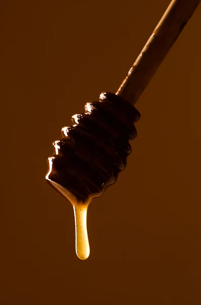 Cuchara de miel sobre un fondo coloreado — Foto de Stock
