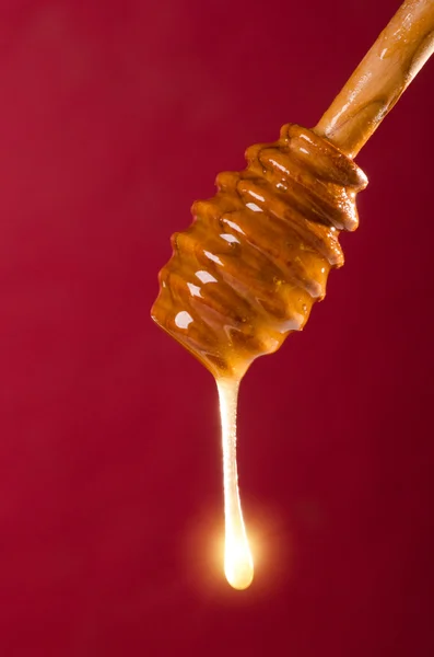 Cuillère de miel sur un fond coloré — Photo