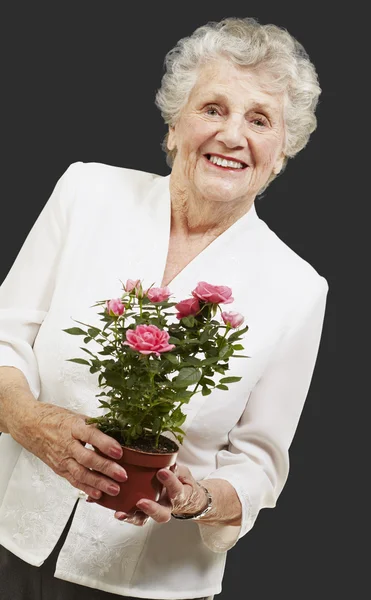 Mulher sênior segurando um vaso de flores contra um fundo preto — Fotografia de Stock