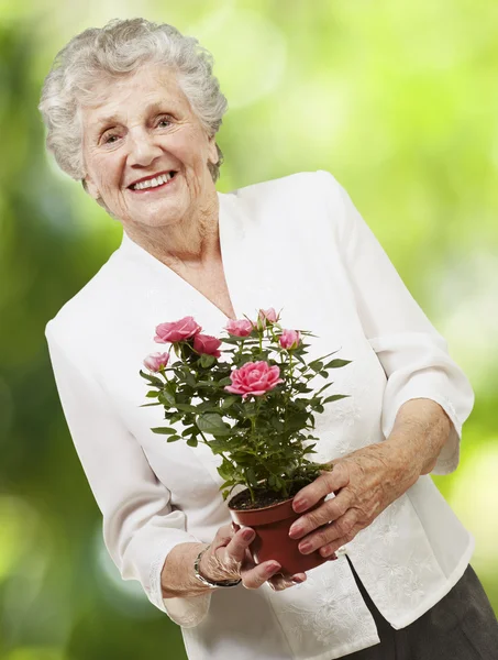 Senior woman holding a flower pot against a nature background — Stock Photo, Image