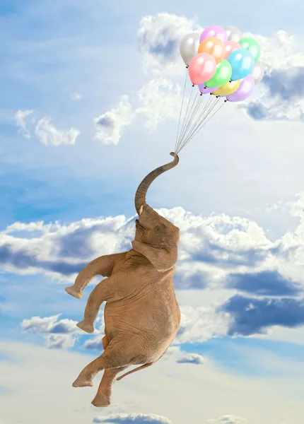 Elefant flyger med ballonger — Stockfoto
