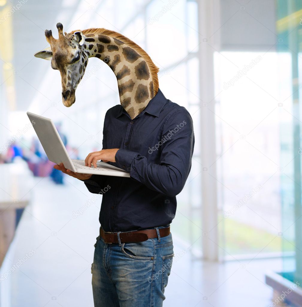 Man Using Laptop With Giraffe Head